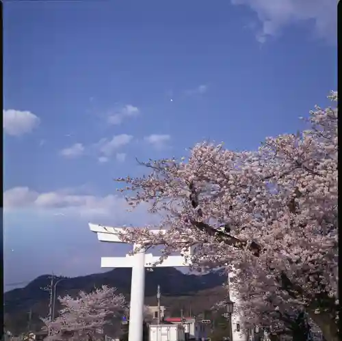 宝登山神社の景色