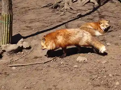 御金稲荷神社(宮城県)