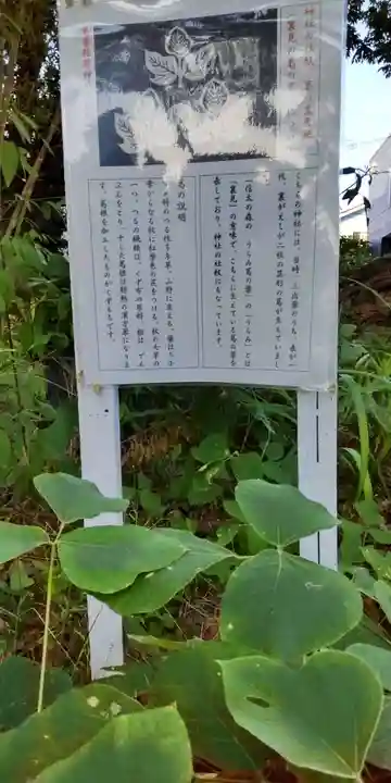 信太森神社(葛葉稲荷神社)(大阪府)