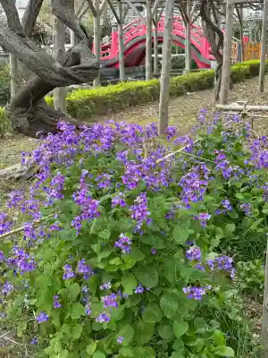 亀戸天神社(東京都)