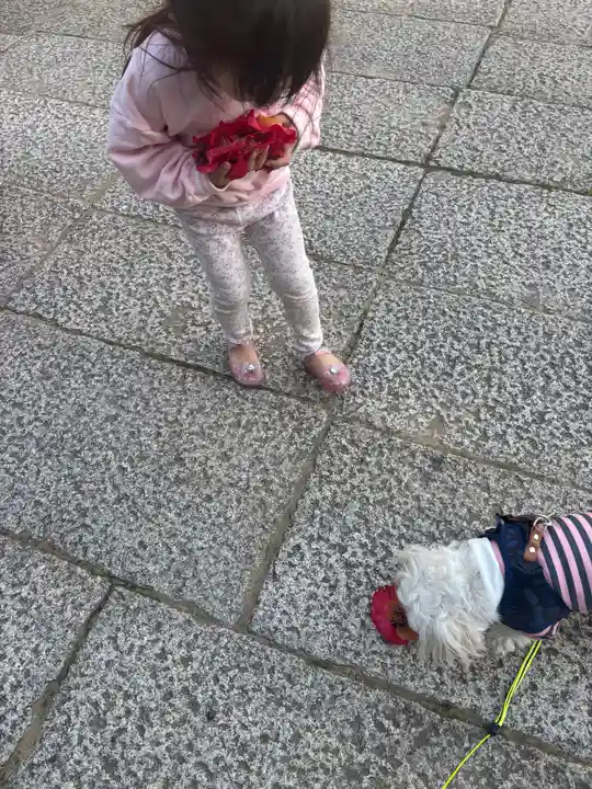 大年神社(兵庫県)
