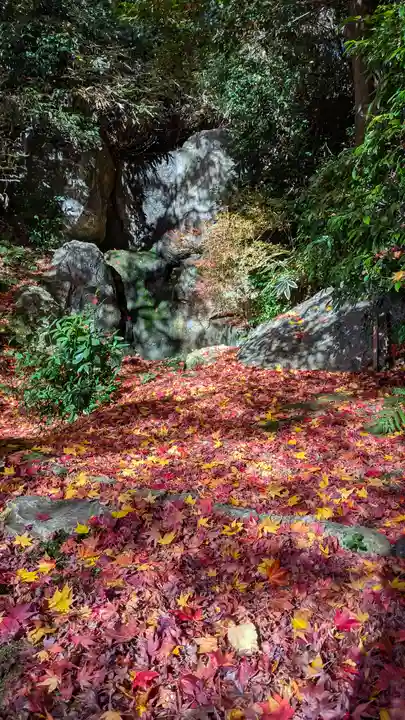 法金剛院(京都府)