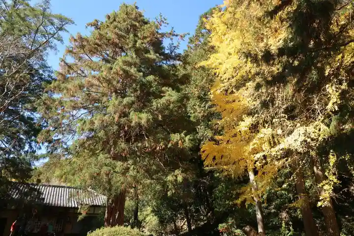 修禅寺 奥の院(静岡県)