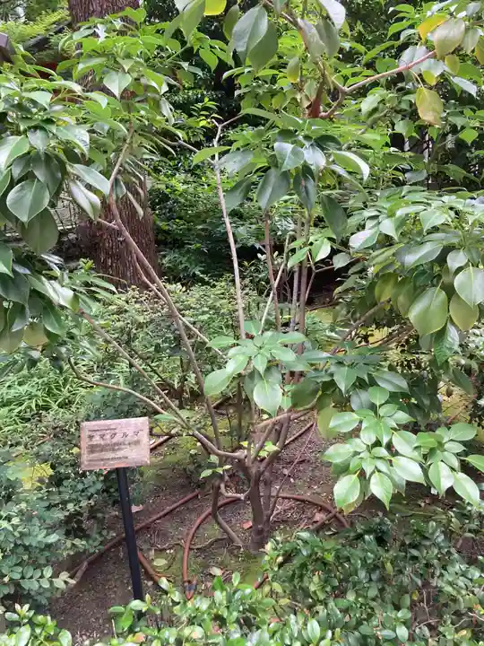 福徳神社(芽吹稲荷)(東京都)