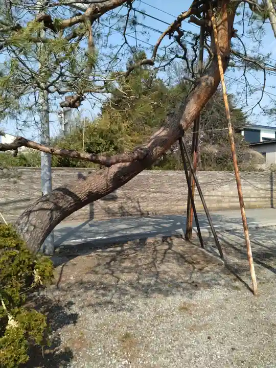 神明神社(江俣)(山形県)