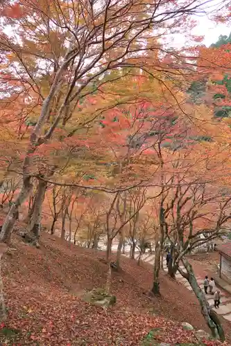 神護寺の景色