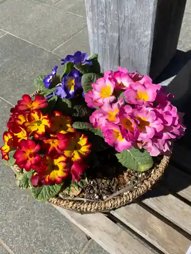 妙蓮寺(神奈川県)