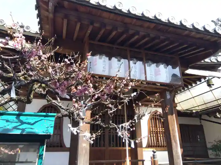 善福寺(三重県)