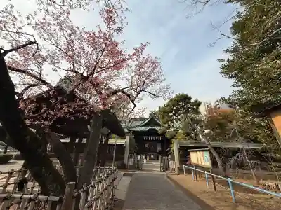 荏原神社の{uncategorized: "未分類", other: "その他", undefined: "問題あり", building: "その他建物", grave: "お墓", sacred_gate: "鳥居", guardian: "狛犬", statue: "像", buddha: "仏像", history: "歴史", nature: "自然", garden: "庭園", animal: "動物", pagoda: "塔", temizu: "手水舎", mountain_gate: "山門・神門", sanctuary: "本殿・本堂", subordinate: "末社・摂社", art: "芸術", scenery: "景色", jizo: "地蔵", ema: "絵馬", goshuin: "御朱印", omikuji: "おみくじ", items: "授与品その他", amulet: "お守り", goshuincho: "御朱印帳", eats: "食事", festival: "お祭り", votive_dance: "神楽", shichigosan: "七五三参", wedding: "結婚式", experience: "体験その他", initially: "初詣", around: "周辺", anti_infection: "感染症対策"}