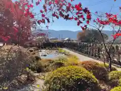 長圓寺の庭園