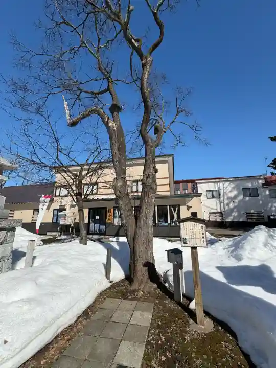 空知稲荷神社(空知神社)の{uncategorized: "未分類", other: "その他", undefined: "問題あり", building: "その他建物", grave: "お墓", sacred_gate: "鳥居", guardian: "狛犬", statue: "像", buddha: "仏像", history: "歴史", nature: "自然", garden: "庭園", animal: "動物", pagoda: "塔", temizu: "手水舎", mountain_gate: "山門・神門", sanctuary: "本殿・本堂", subordinate: "末社・摂社", art: "芸術", scenery: "景色", jizo: "地蔵", ema: "絵馬", goshuin: "御朱印", omikuji: "おみくじ", items: "授与品その他", amulet: "お守り", goshuincho: "御朱印帳", eats: "食事", festival: "お祭り", votive_dance: "神楽", shichigosan: "七五三参", wedding: "結婚式", experience: "体験その他", initially: "初詣", around: "周辺", anti_infection: "感染症対策"}