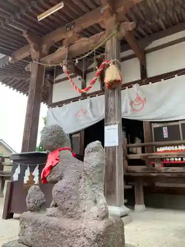 門田稲荷神社の狛犬