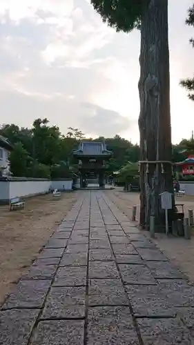 與田寺のその他建物