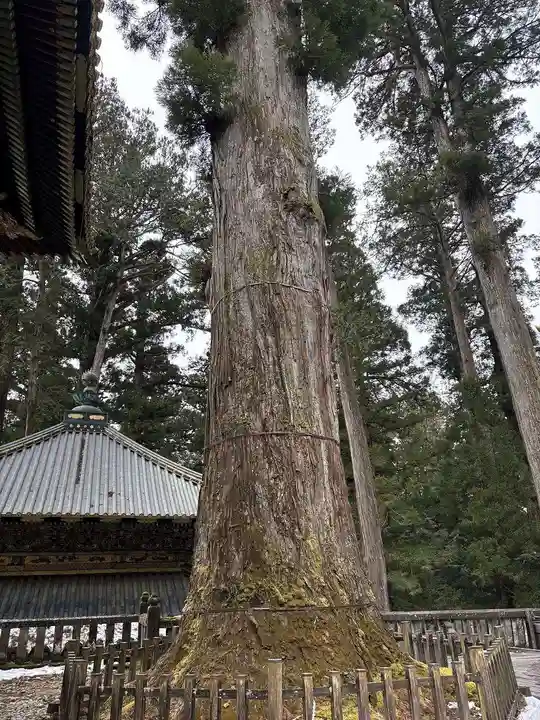 輪王寺薬師堂(本地堂)(栃木県)