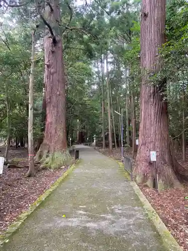 若狭彦神社（上社）(福井県)