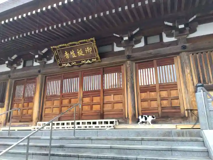 御誕生寺(猫寺)(福井県)