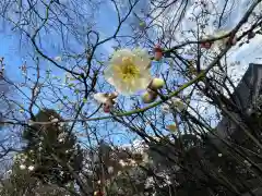 大生郷天満宮の自然