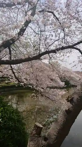 鶴岡八幡宮の{uncategorized: "未分類", other: "その他", undefined: "問題あり", building: "その他建物", grave: "お墓", sacred_gate: "鳥居", guardian: "狛犬", statue: "像", buddha: "仏像", history: "歴史", nature: "自然", garden: "庭園", animal: "動物", pagoda: "塔", temizu: "手水舎", mountain_gate: "山門・神門", sanctuary: "本殿・本堂", subordinate: "末社・摂社", art: "芸術", scenery: "景色", jizo: "地蔵", ema: "絵馬", goshuin: "御朱印", omikuji: "おみくじ", items: "授与品その他", amulet: "お守り", goshuincho: "御朱印帳", eats: "食事", festival: "お祭り", votive_dance: "神楽", shichigosan: "七五三参", wedding: "結婚式", experience: "体験その他", initially: "初詣", around: "周辺", anti_infection: "感染症対策"}