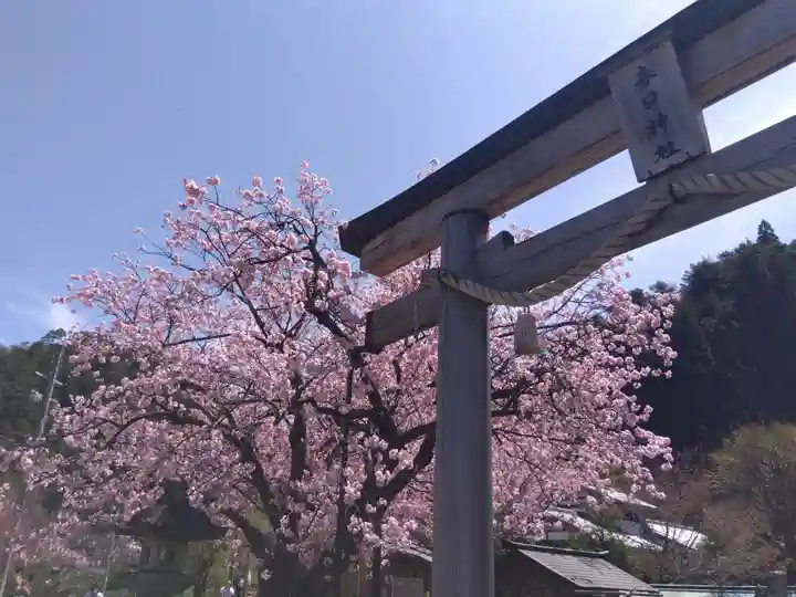春日神社(京都府)