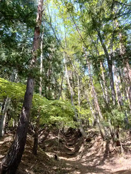 河口浅間神社の自然