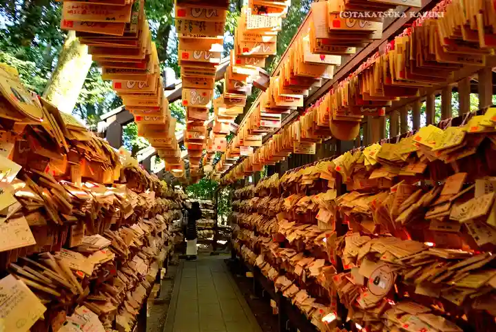 川越氷川神社(埼玉県)