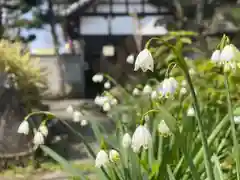 許麻神社の自然