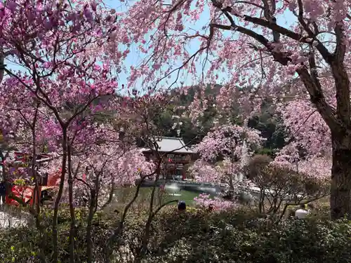 勝尾寺(大阪府)
