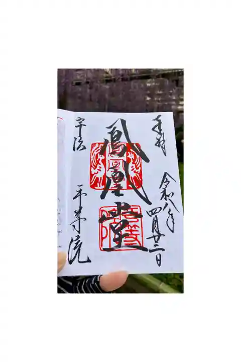 藤が見頃でした
