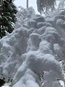 滑川神社 - 仕事と子どもの守り神の景色(2024年03月06日(水) 15時47分33秒投稿)
