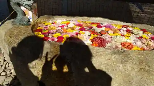 金井神社の手水舎