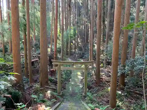 神明神社の鳥居