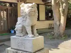 白羽神社の狛犬