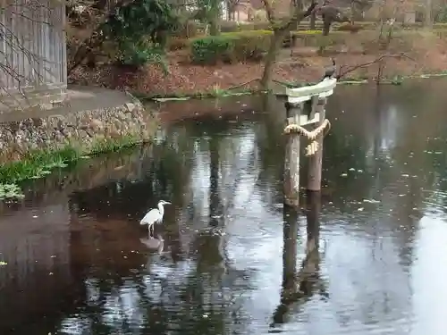 天祖神社の庭園