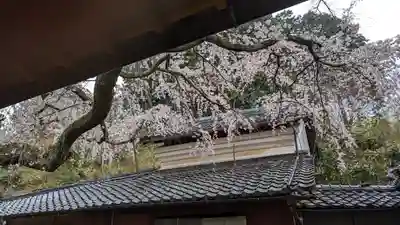 十輪寺(京都府)