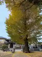 薬王寺(千葉県)