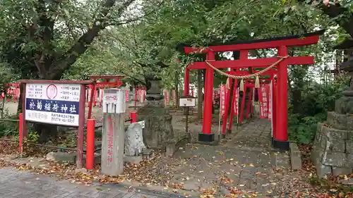 於菊稲荷神社の鳥居