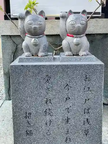 今戸神社の狛犬