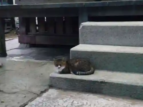 本塩豊受神社の動物