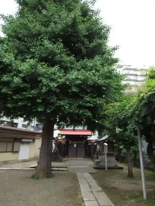 粕壁神明社(埼玉県)