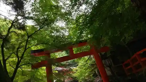 貴船神社の鳥居