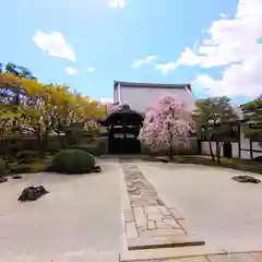 妙顯寺（妙顕寺）(京都府)