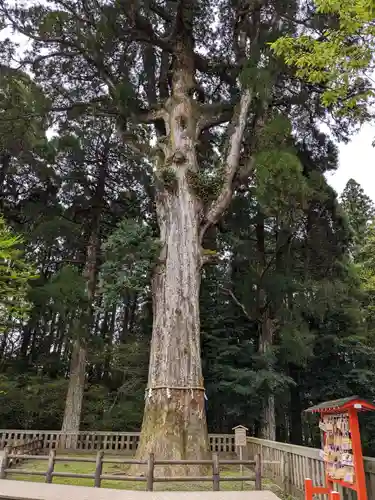 霧島神宮(鹿児島県)