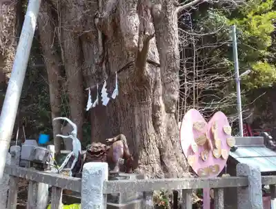 海南神社(神奈川県)