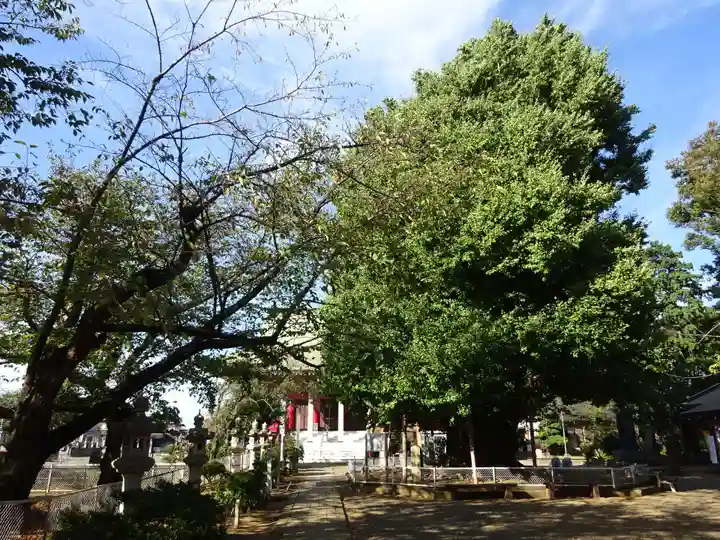 千葉寺(千葉県)