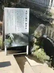 玉村八幡宮の建物その他