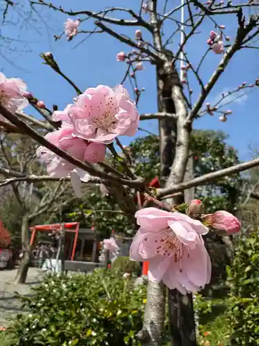 冠稲荷神社(群馬県)