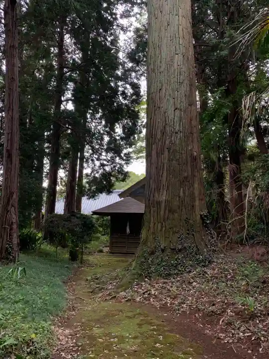 神社(名称不明)(千葉県)