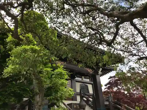 金剛寺の本殿