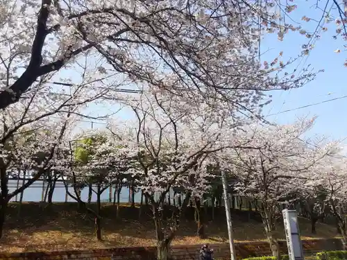 妙櫻寺(東京都)