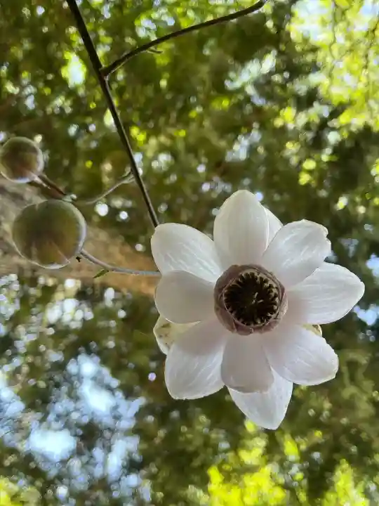 迦葉山龍華院弥勒護国寺(弥勒寺)(群馬県)